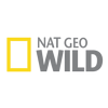 Nat Geo Wildt